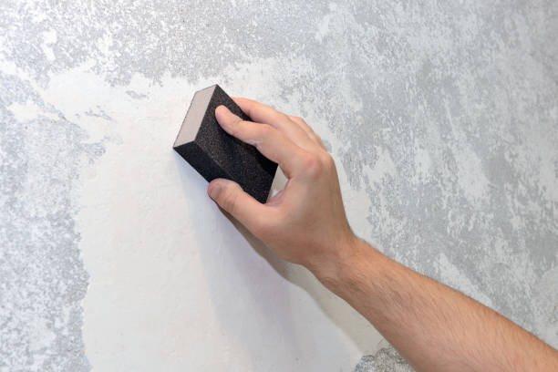 Best Mold Remediation for Healthcare Facilities  in Ocean Park, WA