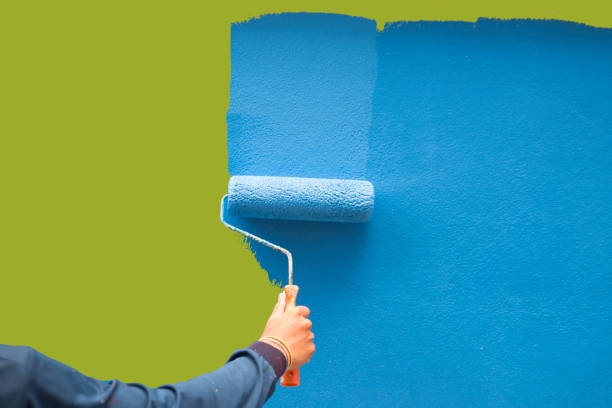 Best Emergency Mold Remediation  in Ocean Park, WA